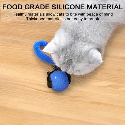 Rechargeable Interactive Cat Toy Ball - 1/2 Count Teaser Toy, Durable for Indoor Play & Exercise, Fun Cat Accessory
