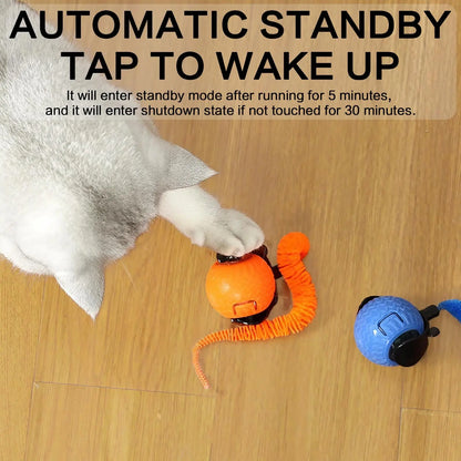 Rechargeable Interactive Cat Toy Ball - 1/2 Count Teaser Toy, Durable for Indoor Play & Exercise, Fun Cat Accessory