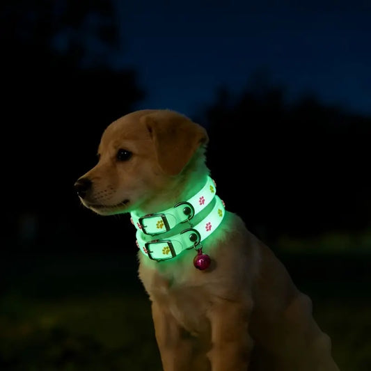 5-Pack Glow in the Dark Cat Dog Collars - Cute Paw Print Luminous Pet Collar with Safety Buckle for Night Walking, Adjustable Anti-Lost Id Tags Neckwear for Small Dogs Kittens, Assorted Colors Gift