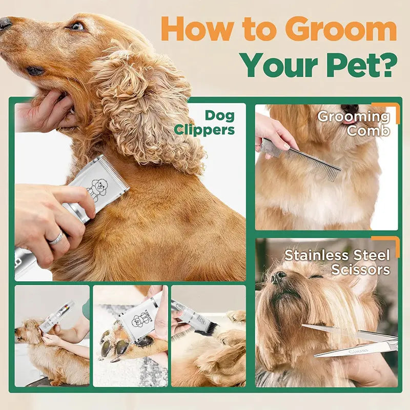 Abs-Infused Universal Pet Grooming Kit with Low-Noise Rechargeable Cordless Hair Clippers, Paw Trimmer & Nail Grinder, Supports Cell Health, for Dogs & Rabbit Beauty/Hair Care (White),Sohochic