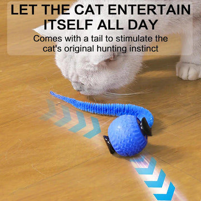 Rechargeable Interactive Cat Toy Ball - 1/2 Count Teaser Toy, Durable for Indoor Play & Exercise, Fun Cat Accessory